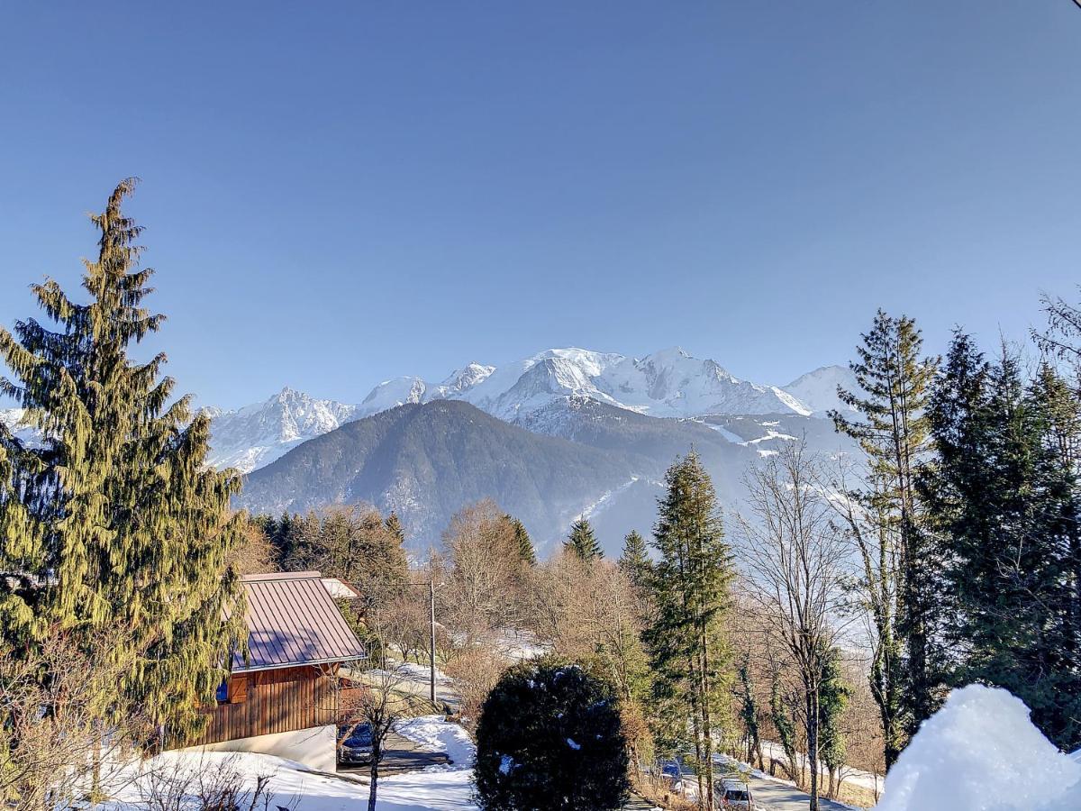 Mont Alt, F2 40M2 En Rdc, Calme, Vue Mt Blanc Apartment Passy  Exterior photo